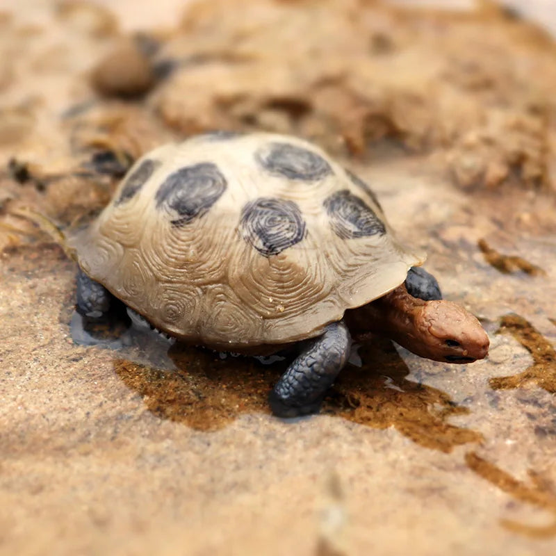 Oenux Ocean Animal Turtle Figurines
