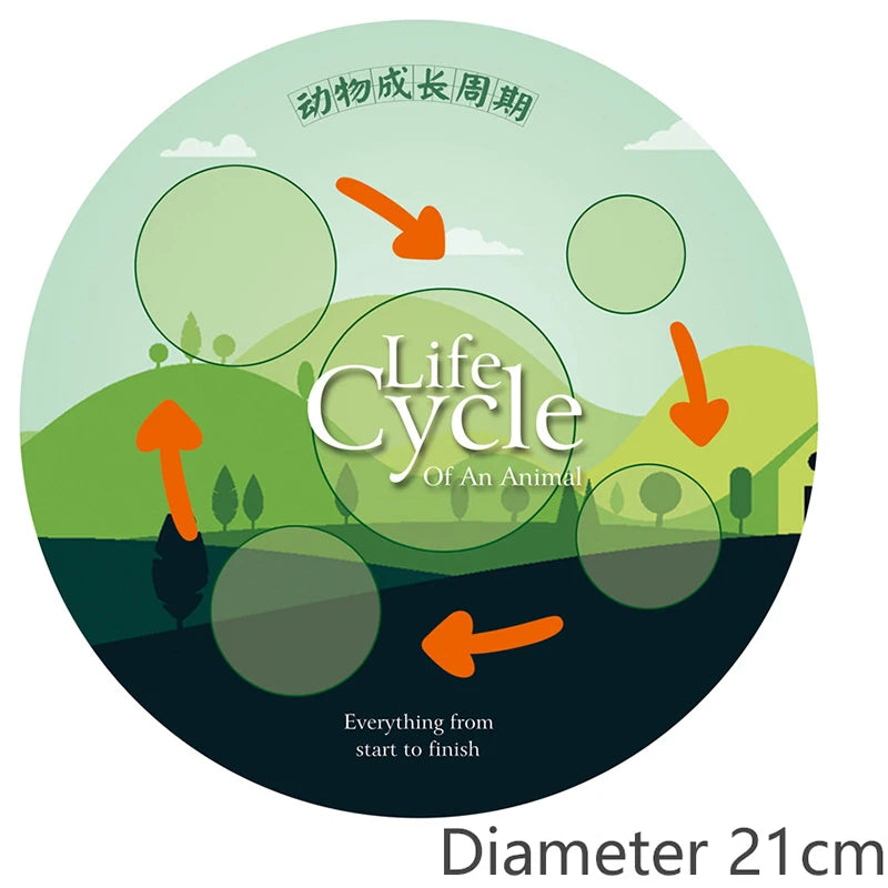 Life Cycle Animal & Plant Montessori Toy