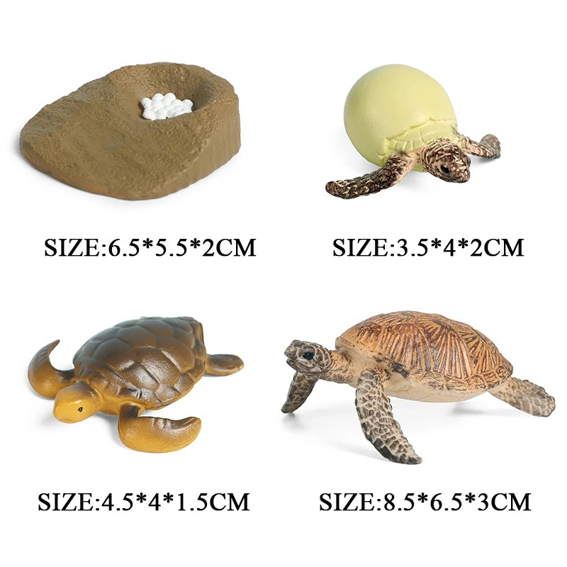 Oenux Ocean Animal Turtle Figurines