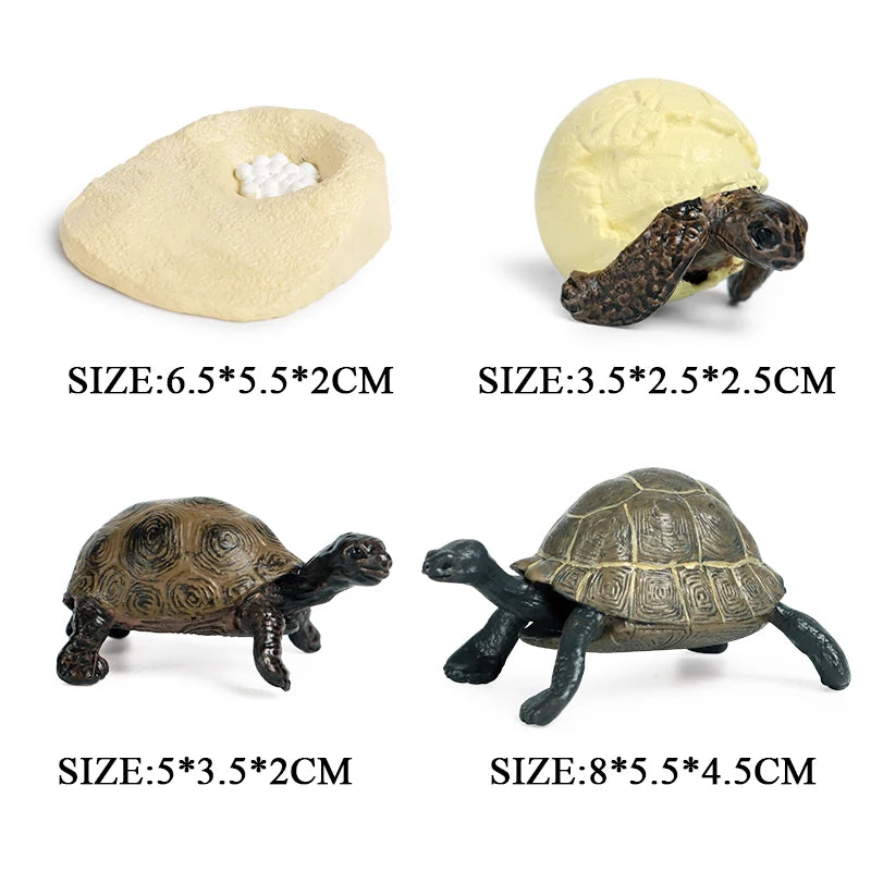 Oenux Ocean Animal Turtle Figurines