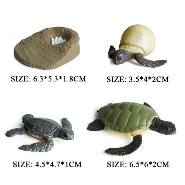 Oenux Ocean Animal Turtle Figurines