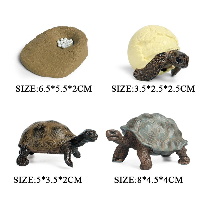 Oenux Ocean Animal Turtle Figurines