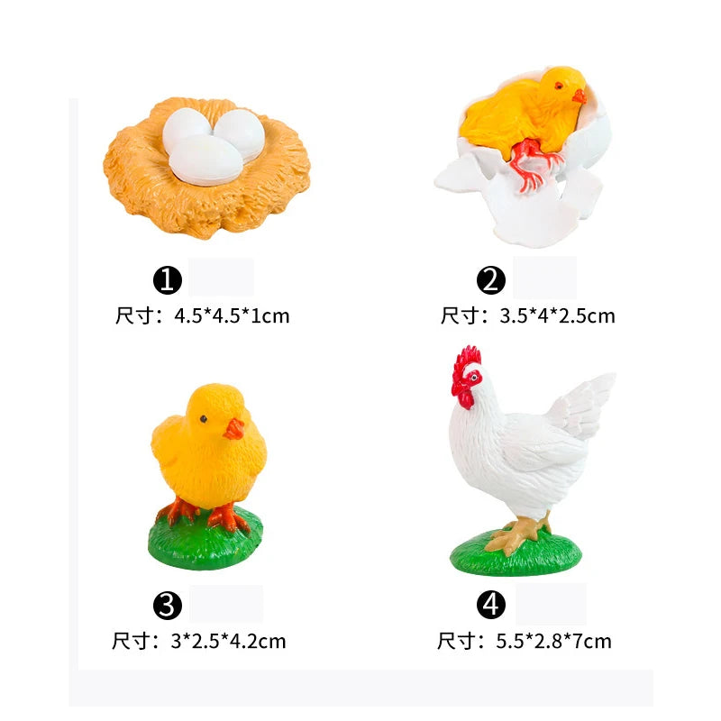 Animal & Plant Life Cycle Montessori Board