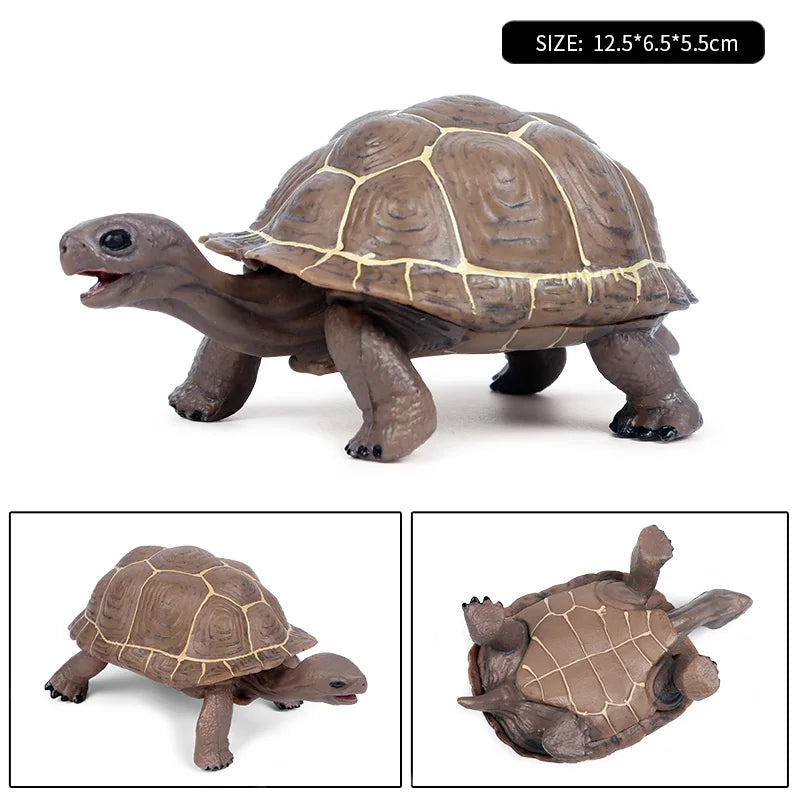 Oenux Ocean Animal Turtle Figurines