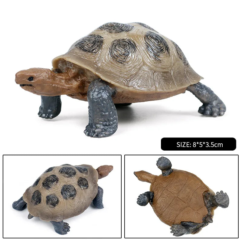 Oenux Ocean Animal Turtle Figurines