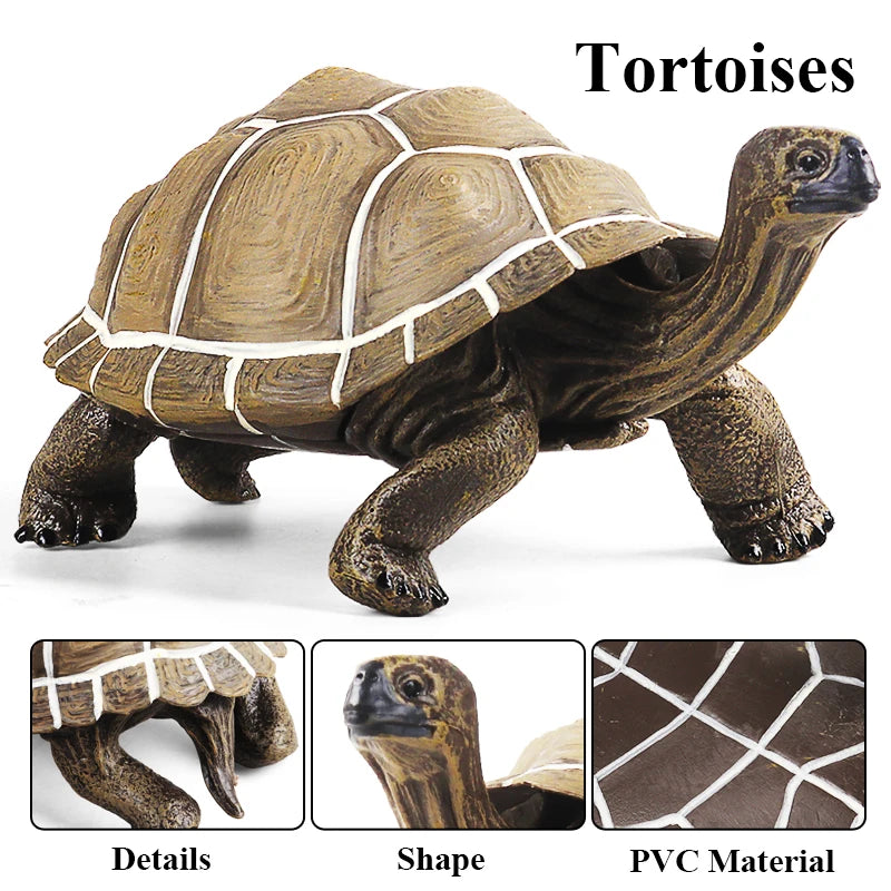 Oenux Ocean Animal Turtle Figurines