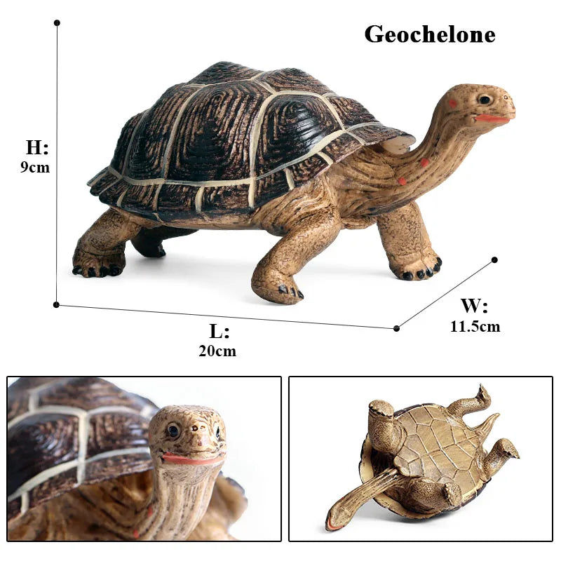 Oenux Ocean Animal Turtle Figurines