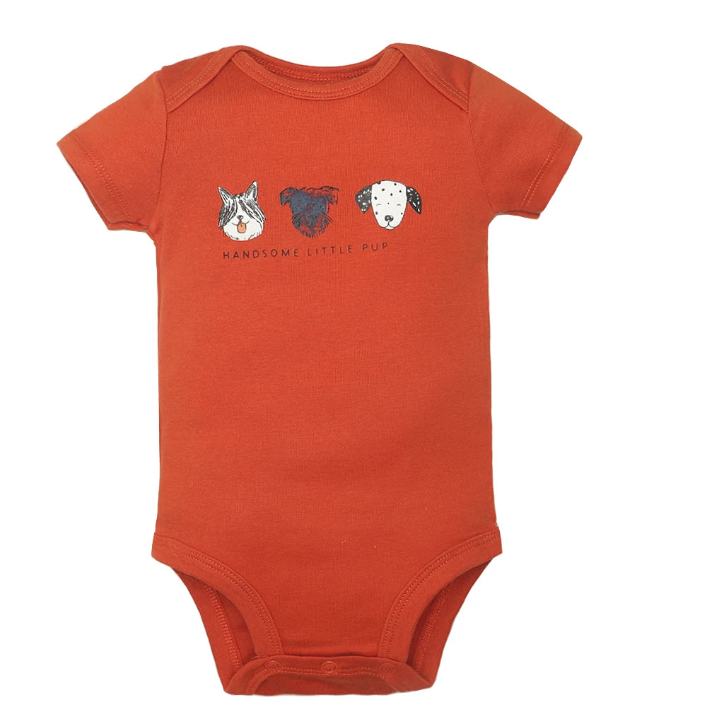 5PCS Baby Bodysuit Set – 100% Cotton Short Sleeve Jumpsuits (6–24M)