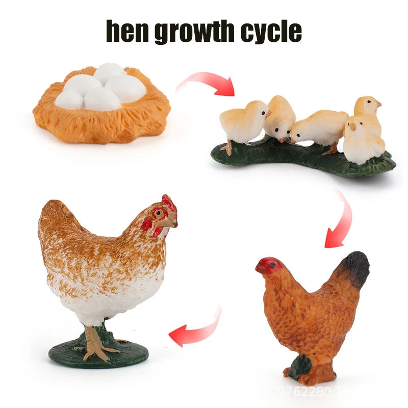 Animal & Plant Life Cycle Montessori Board