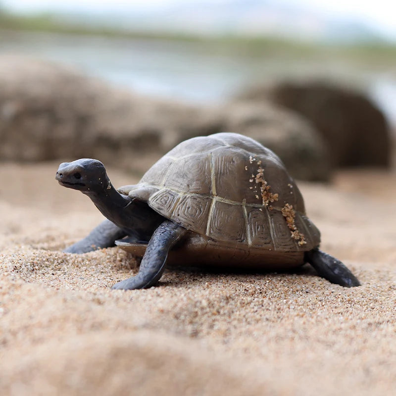 Oenux Ocean Animal Turtle Figurines