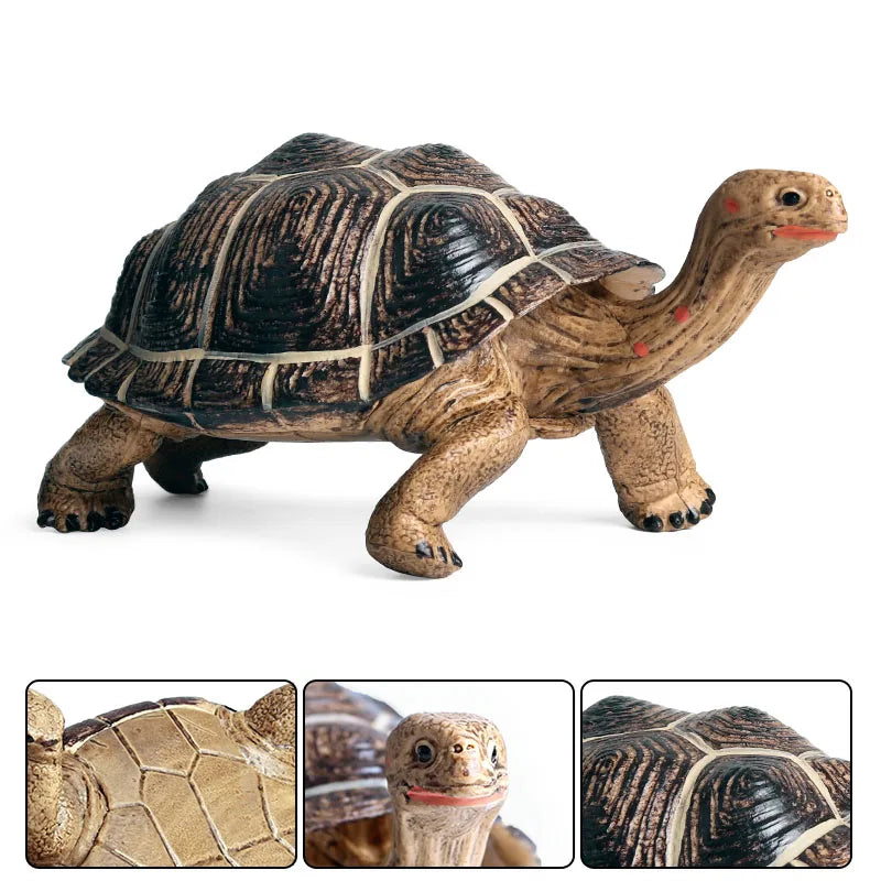 Oenux Ocean Animal Turtle Figurines