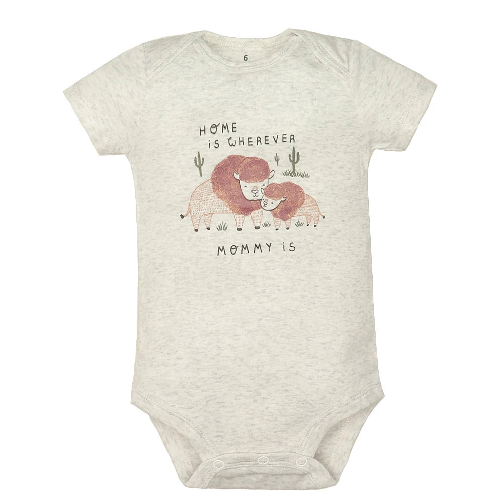 5PCS Baby Bodysuit Set – 100% Cotton Short Sleeve Jumpsuits (6–24M)