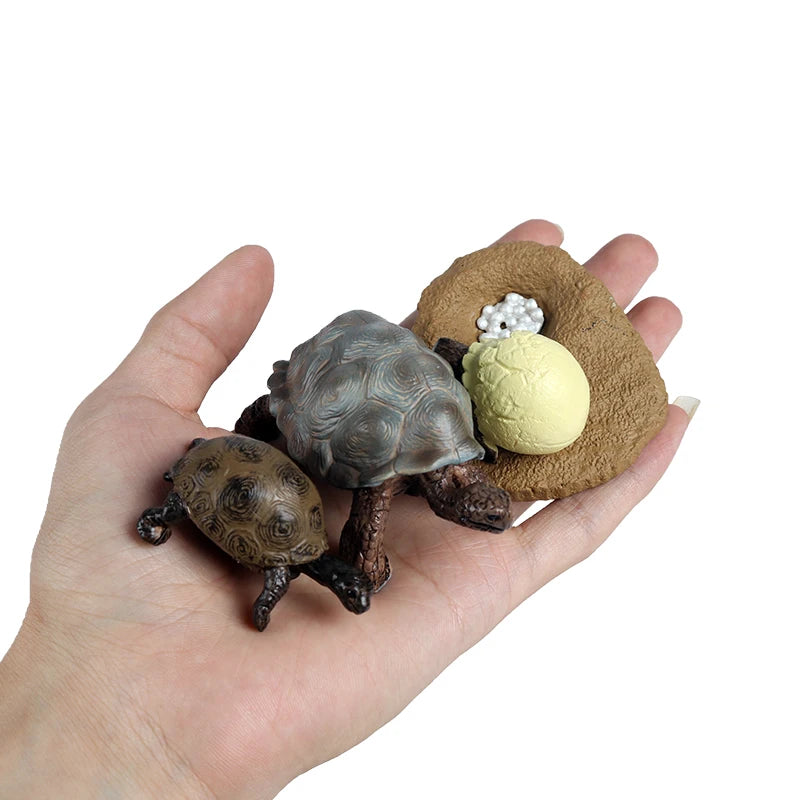 Oenux Ocean Animal Turtle Figurines