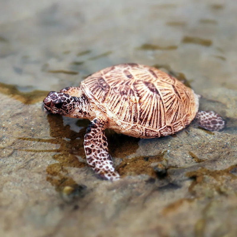 Oenux Ocean Animal Turtle Figurines