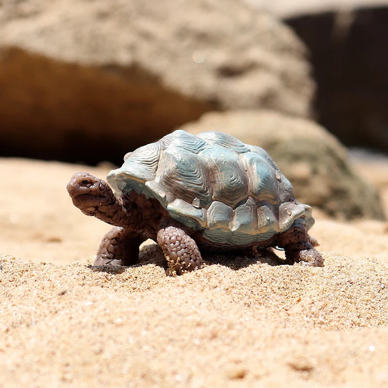 Oenux Ocean Animal Turtle Figurines